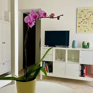 https://delizioso-monolocale-milano-gambara.it-lombardy.com